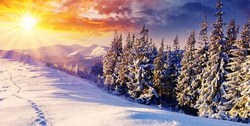برف و باران در اغلب نقاط کشور‌/ افزایش دما در ۲ استان