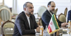 امیرعبداللهیان نسبت به اقدامات غیرسازنده در شورای حکام هشدار داد