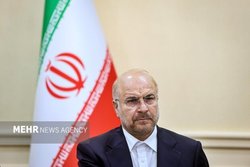 نهاد‌های امنیتی و انتظامی عاملان حادثه تروریستی ایذه را شناسایی کنند