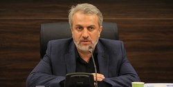 دولت اقدامات لازم برای واردات خودرو را انجام داده/ رایزنی واردکنندگان با طرف‌های تجاری زمان‌بر است