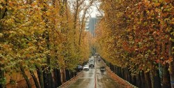 آبگرفتگی در تهران نداشتیم