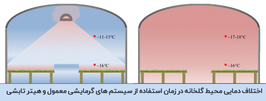 5 روش گرمایش گلخانه【کاملا کم مصرف】+پیشنهاد ویژه!