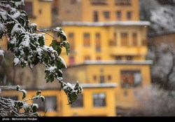 بارش برف و باران تا آخر هفته در ۱۶ استان/ هشدار زرد هواشناسی برای ۲ استان