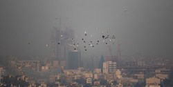 بارش برف و باران در برخی نقاط کشور