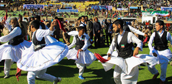 سیستانی و بلوچ امت واحده هستند