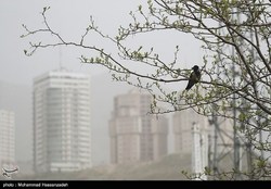 وضعیت آلودگی هوای تهران؛ هوا ناسالم است