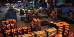 میادین و بازار‌های میوه و تره بار تهران ۲۳ و ۲۵ فروردین تعطیل هستند