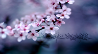 آیاتی از قرآن کریم که بیانگر زنده شدن زمین در فصل بهار هستند