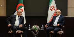 کشورهای اسلامی از همه ظرفیت‌هایشان برای حمایت از ملت فلسطین استفاده کنند