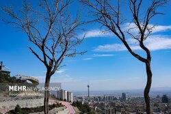 تهران از ابتدای سال فقط ۲ روز هوای پاک داشته است