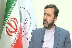 نقش کلیدی سمن‌ها در حمایت از حقوق بشر