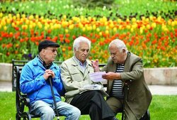پرداخت معوقات رتبه‌بندی تا آخر سال/ ۳۷ میلیون تومان معوقه هر فرد