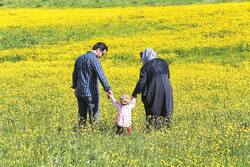 الگوشدن و کمال، مهم‌ترین دستاورد فرزندآوری برای والدین است