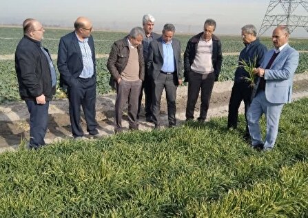 نقش موثر آستان قدس در تامین امنیت غذایی کشور