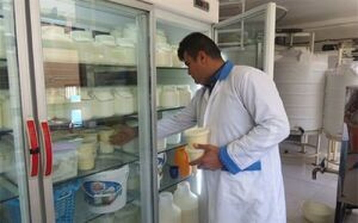 ماست بخورید تا سیستم ایمنی بدن تقویت شود