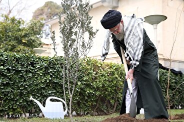 کاشت سه اصله نهال توسط رهبر انقلاب در روز درختکاری
