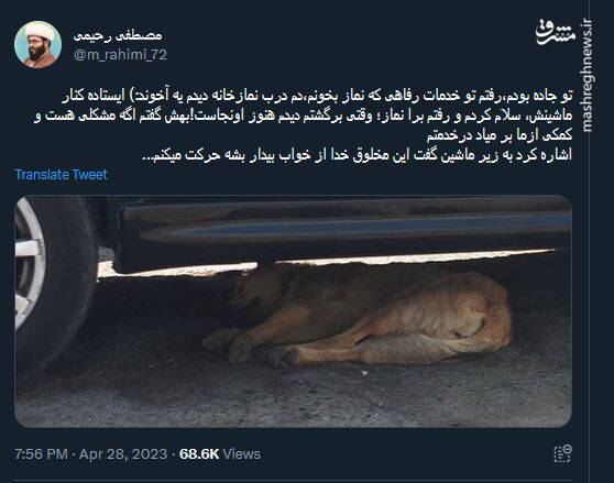 برخورد عجیب یک روحانی با یک سگ+ عکس برخورد عجیب یک روحانی با یک سگ+ عکس
