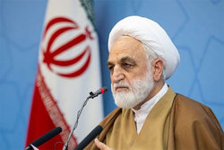 دستور محسنی‌ اژه‌ای برای رسیدگی به پرونده‌های مرتبط با تهدید امنیت فیزیکی و روانی مردم