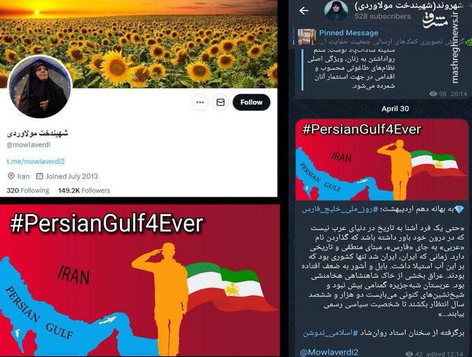 ادای احترام شهیندخت مولاوردی به پرچم شیر و خورشید! ادای احترام شهیندخت مولاوردی به پرچم شیر و خورشید!