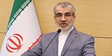ندیدم سیاستمداری به اندازه رهبر انقلاب بر اهمیت نقش مردم تأکید کند / همه پرسی نمی‌تواند حلال تمامی مشکلات باشد