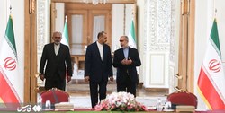 ۲۳۳ دیدار رسمی و ۲۹۶ مذاکره تلفنی امیرعبداللهیان در یک سال و هشت ماه اخیر