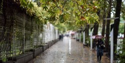 بارش باران در تهران/ افزایش دمای هوا طی امروز و فردا