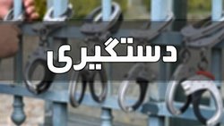 سارق حرفه‌ای متواری در امین آباد دستگیر شد