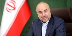 عمویی: قالیباف تنها گزینه فراکسیون اکثریت برای ریاست مجلس است
