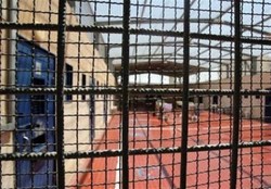۵۵۸ اسیر فلسطینی در زندان‌های اسرائیل محکوم به حبس ابد هستند