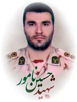 دلتنگ حاج قاسم بود و شهید شد