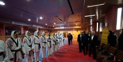 سجادی: امسال، سال حساسی برای ورزش است/ دوپینگ اشتباه ورزشکار بوده و قرار نیست به هرقیمتی به قهرمانی برسیم