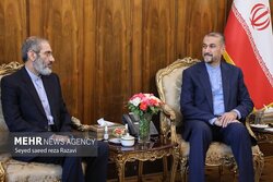 «اسدالله اسدی» با امیرعبداللهیان دیدار کرد
