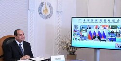 شخصیت های مصری: هدف قاهره از پیوستن به بریکس سقوط سلطه دلار است