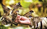 آنان هیچ دست نیازی را پس نمی‌زنند