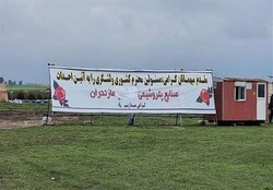 سازمان محیط زیست: هرگونه فعالیت مجدد  پتروشیمی میانکاله  مغایر با ضوابط محیط زیستی است