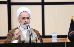 کار دستگاه دیپلماسی کشور در جریان سازی اسلامی علیه قرآن سوزی قابل تحسین است