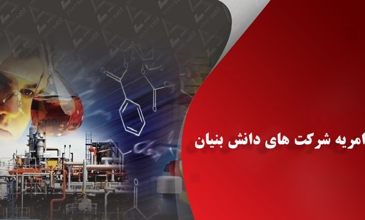 ۸۰ درصد نخبگان دارای امریه در دانش‌بنیان‌ها فعالیت می‌کنند