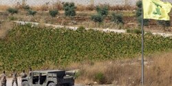 تجمع نمایندگان لبنانی در اعتراض به اشغالگری رژیم صهیونیستی