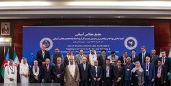 نمایندگان کشورهای عضو APA در نشست ایران چه گفتند؟