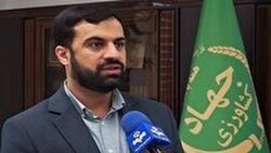 ورود وزارت جهاد کشاورزی به خرید برنج
