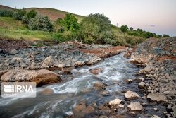 درجه‌بندی آبراهه‌ها و رودخانه‌های کشور/آلودگی رودخانه‌ها بلای جان آبزیان