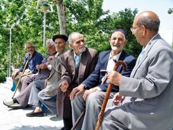 سونامی سالمندی، بحران پیش روی کشور