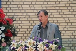 تکمیل بستر شهرک‌های گلخانه‌ای در اولویت وزارت جهاد کشاورزی