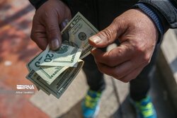 نرخ انواع ارز ثابت ماند