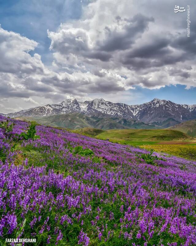 عکس/ قابی دیدنی از دامنه اشترانکوه