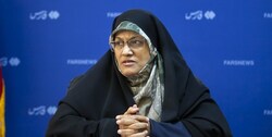 الهیان: مجلس پیگیر مجازات عوامل حادثه تروریستی شاهچراغ خواهد بود