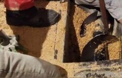 گیر کردن پا و قسمتی از بدن کارگر جوان در دستگاه مارپیچ