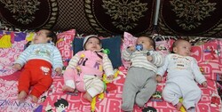 سایت «صدای چندقلوها» راه اندازی شد