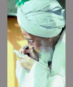 علما در کمک نکردن به نظام اسلامی عذری ندارند