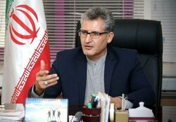  گل‌کوچک  در محلات احیا شد